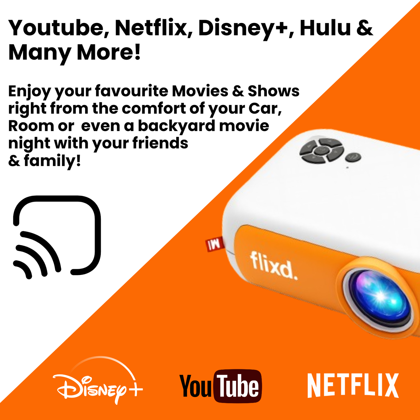 flixd. MiniVision Pro