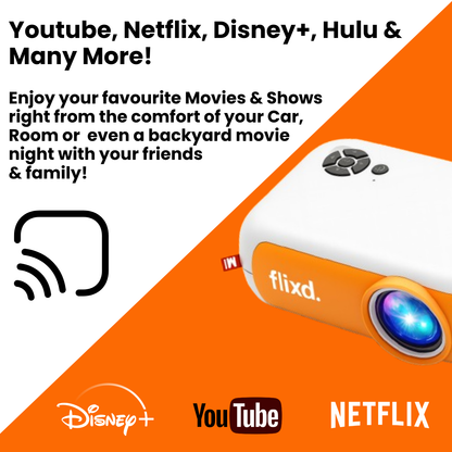 flixd. MiniVision Pro